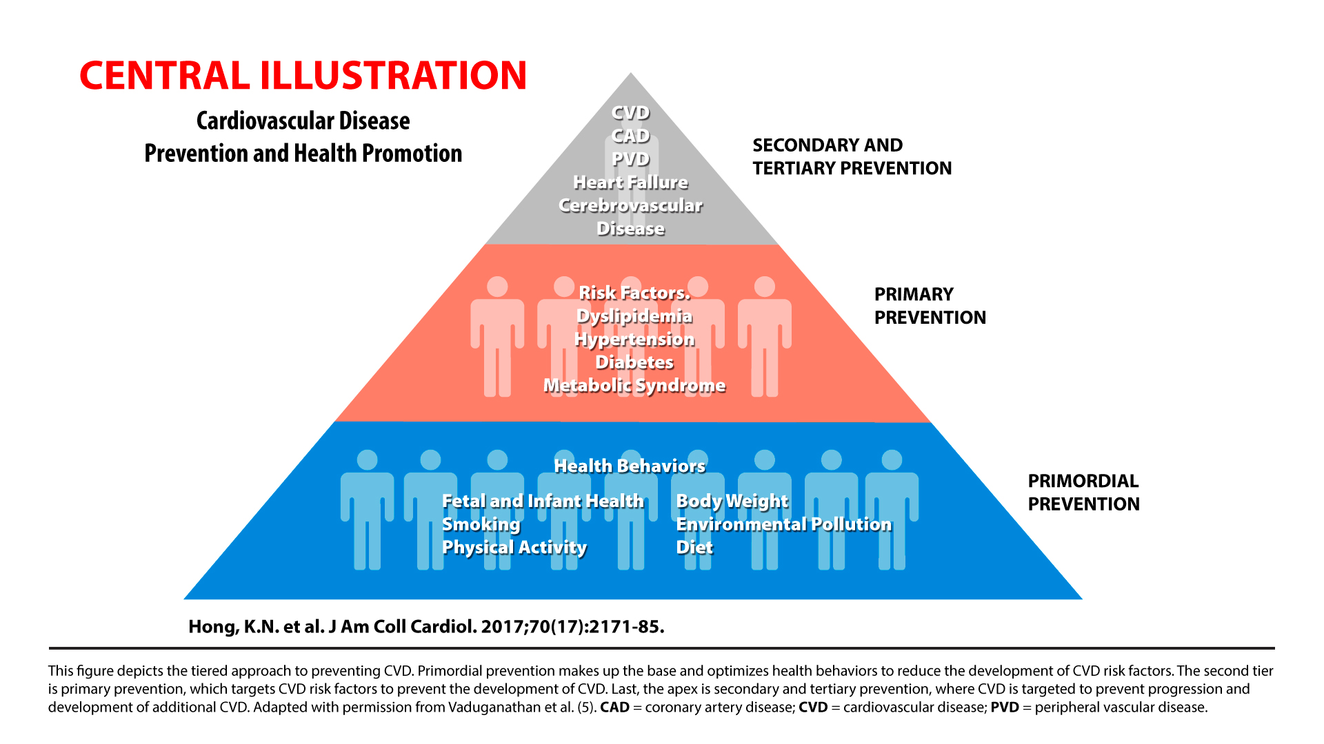 21-CAD-CVD Man holding heart