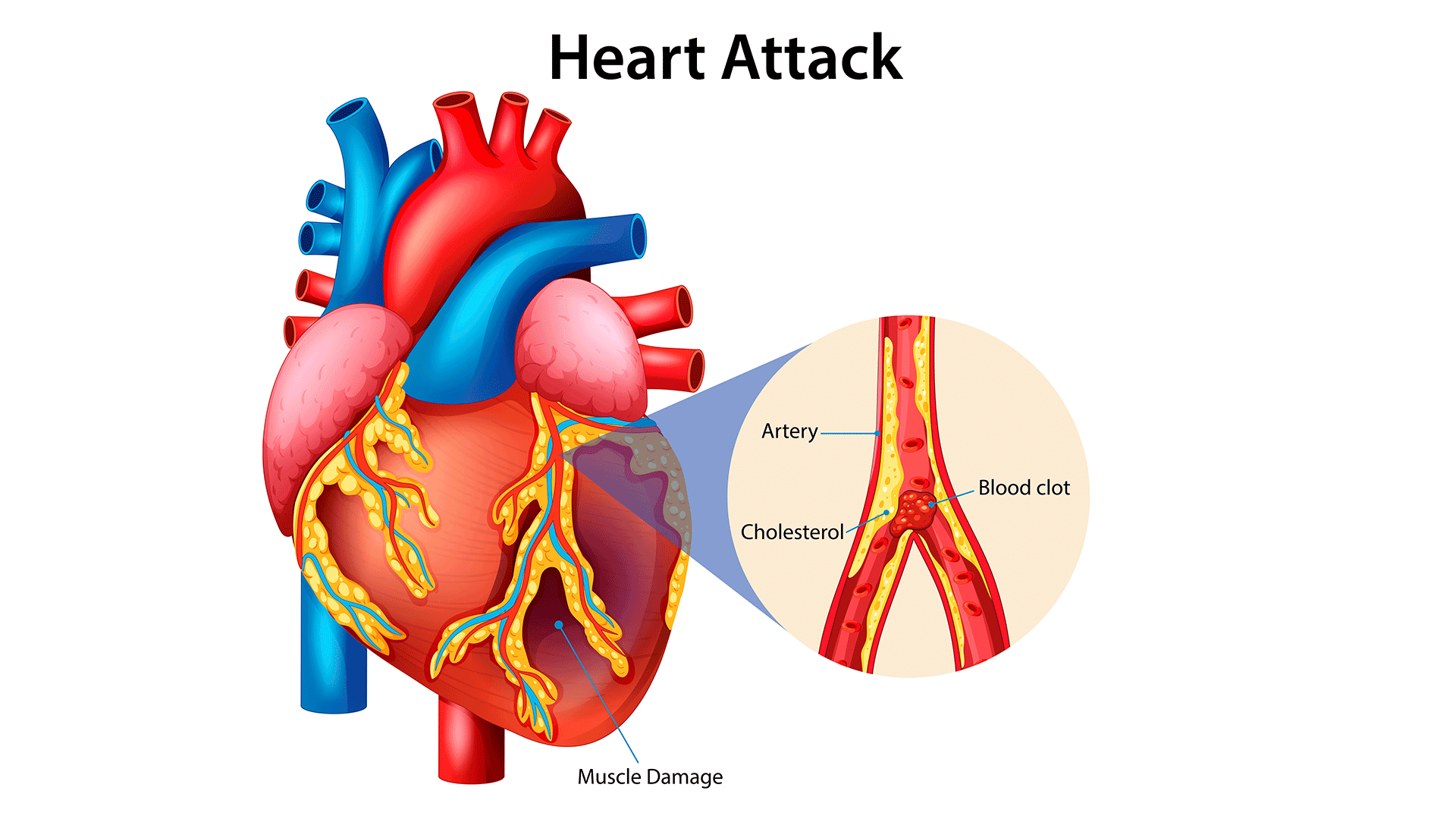 1-Man-holding-heart Man holding heart